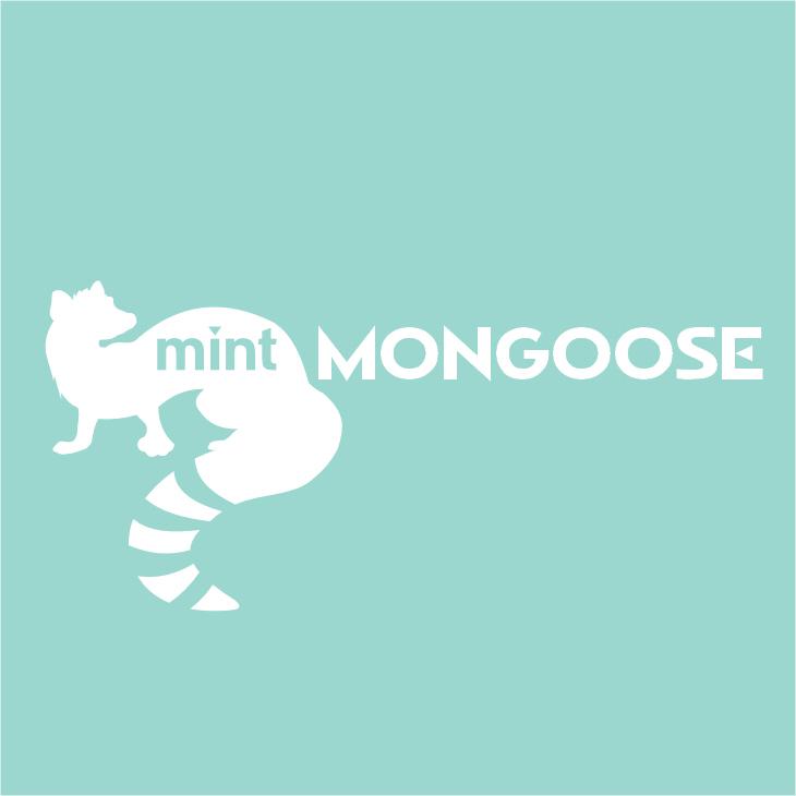 mintMONGOOSE Jewelry Subscription - First box just $5 shipping - 3 mo. (paid monthly)